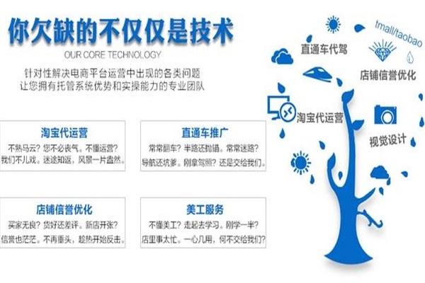 淘宝代运营